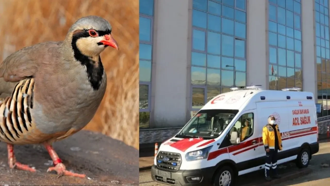 Tunceli'de Keklik Avında Şok Edici Olay! 50 Yaşındaki Avcı Hayatını Kaybetti 4