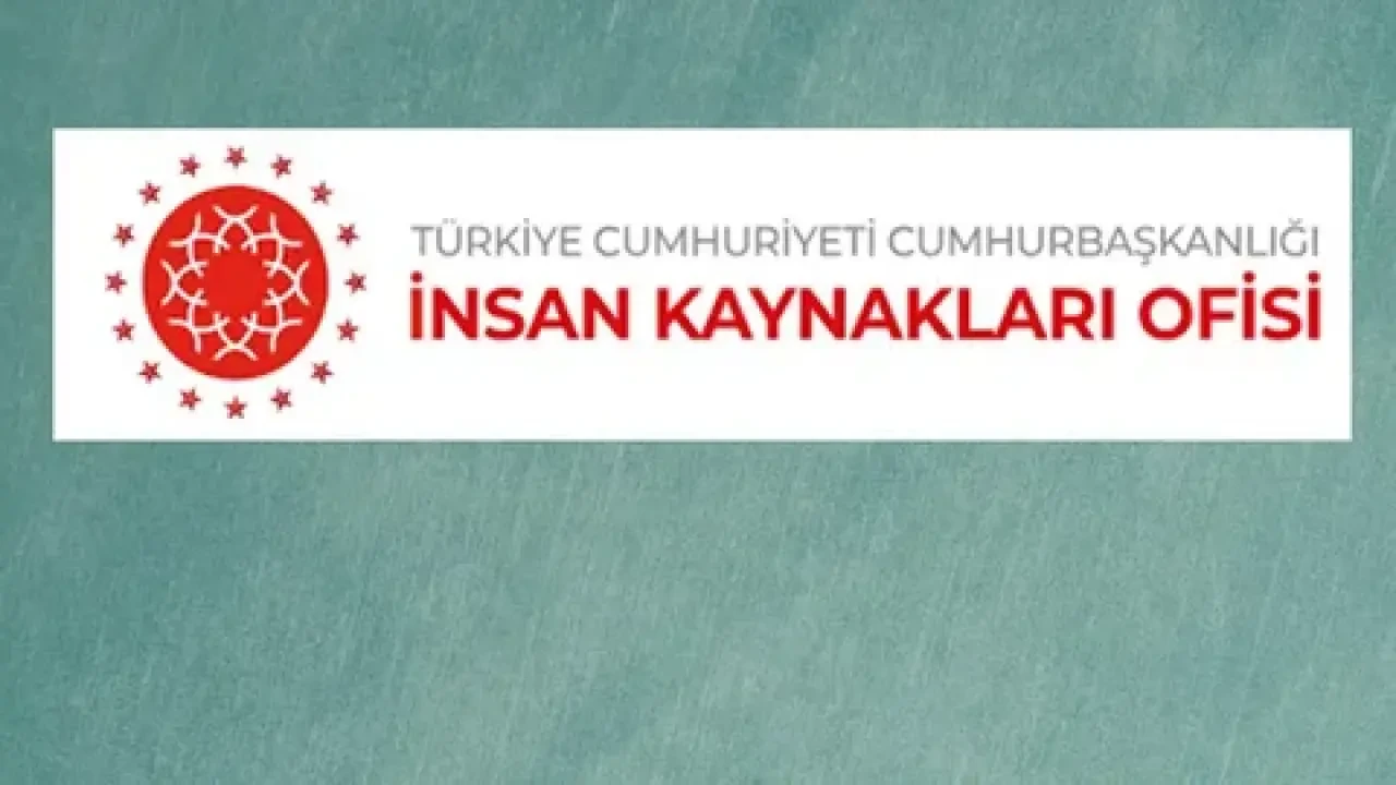 Başvurular Başladı! Ulusal Staj Programı (USP) Hakkında Merak Edilenler 5