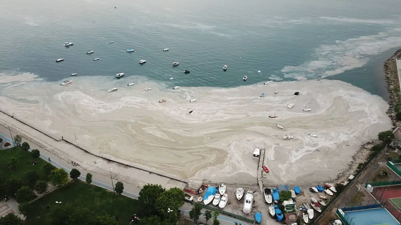 Marmara denizi için kritik uyarı: Belediyelere ileri arıtma tesisi çağrısı 1