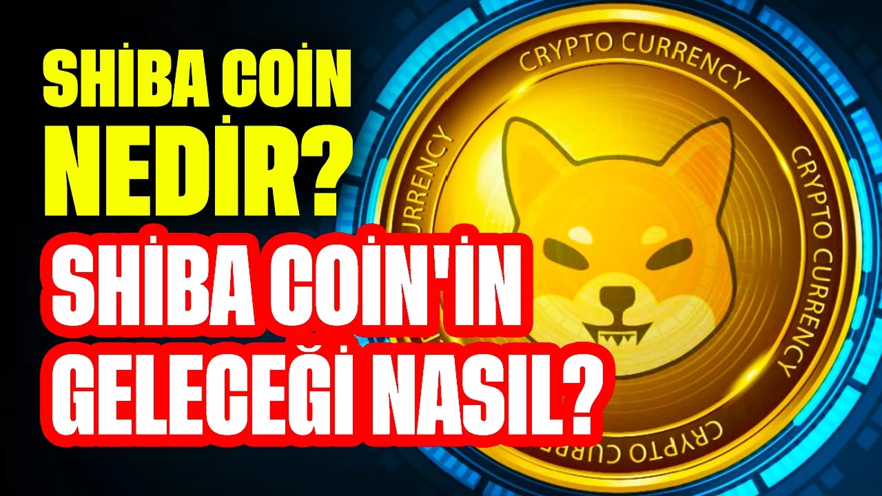 Shiba Coin Nedir? Shiba Coin'in Geleceği Nasıl?