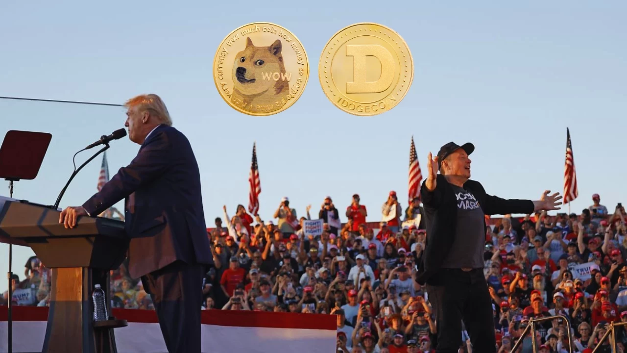 Dogecoin Nedir? Elon Musk DOGE Bakanı Oldu