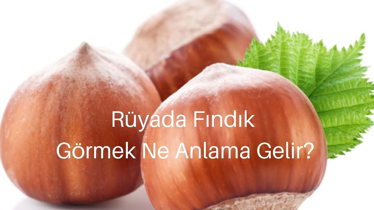 Rüyada Fındık Görmek Ne Anlama Gelir?