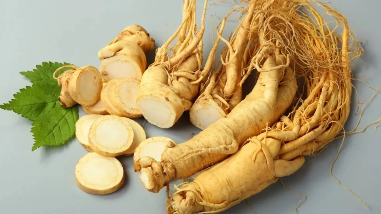 Ginseng Nedir? Ne İşe Yarar?