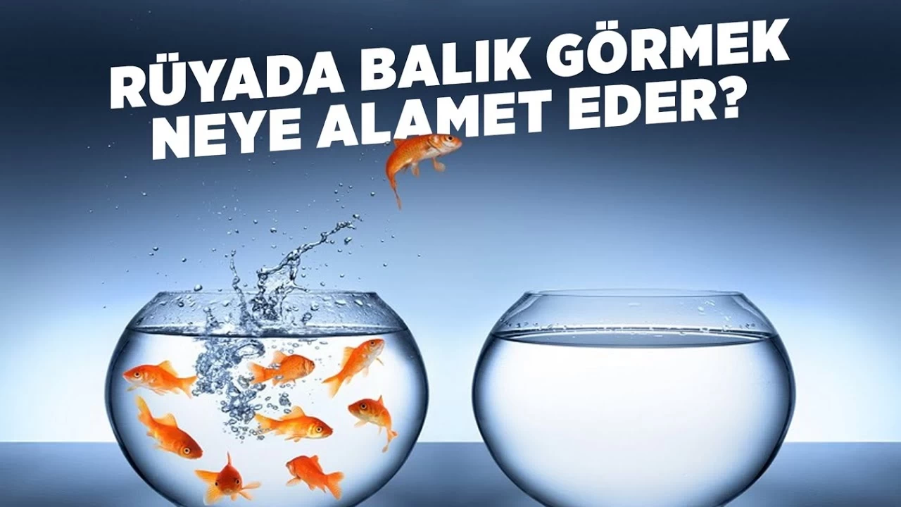 Rüyada Balık Görmek Ne Anlama Gelir?