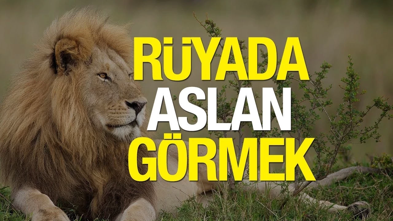 Rüyada Aslan Görmek Ne Anlama Gelir?