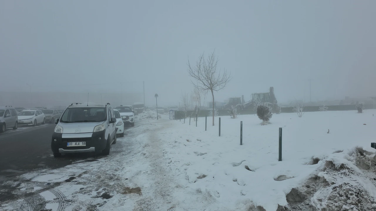 Bitlis'te kırağı manzarası: Soğuk hava her yeri beyaza bürüdü