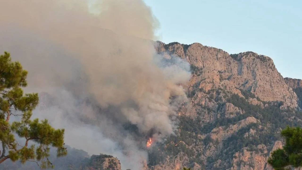 Antalya'da orman yangını: Ekipler müdahale ediyor