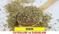 Kekik Nedir, Faydaları Nelerdir, Nasıl Tüketilir?