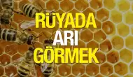 Rüyada Arı Görmek Ne Anlama Gelir?