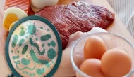 Salmonella nedir: Salmonella tedavisi var mı ve öldürür mü