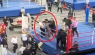 Antalya Kick Boks Şampiyonası'nda kavga: Boks yarışı ring dışına çıktı