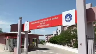 Yozgat KYK Yurdunda Kaçırılma İddiası Valilik Tarafından Yalanlandı