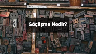 Dilbilgisi Göçüşmesi Nedir? Nasıl Yapılır?