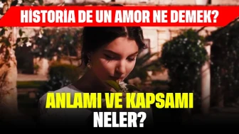 Historia de un Amor Ne Demek? Anlamı, Kapsamı ve Temaları