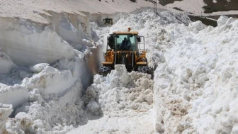 Hakkari'de Karla Mücadele Çalışmaları Başladı