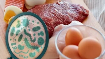 Salmonella nedir: Salmonella tedavisi var mı ve öldürür mü