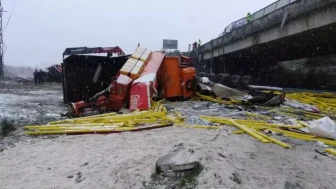 Düzce'de feci kaza: Köprüden uçan araçlar 2 can aldı