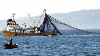 Tekirdağlı balıkçılar rüzgarın durmasıyla Marmara'ya açıldı