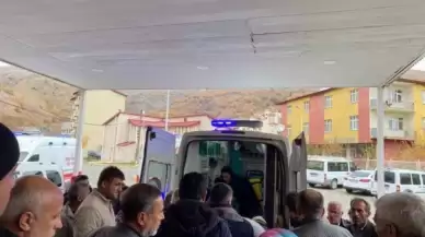 Bitlis'te Korkunç Kaza! Otomobil ve Kamyonet Çarpıştı, Yardıma Giden Ambulans Şarampole Uçtu