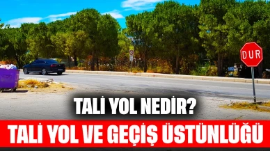 Tali Yol Nedir? Tali Yol ve Geçiş Üstünlüğü