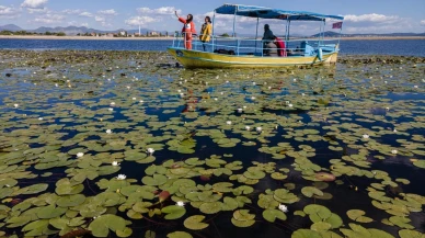 Beyşehir Gölü Milli Parkı Nerede? Doğa Harikası.