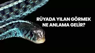 Rüyada Yılan Görmek Ne Anlama Gelir?