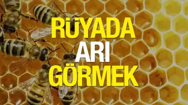 Rüyada Arı Görmek Ne Anlama Gelir?