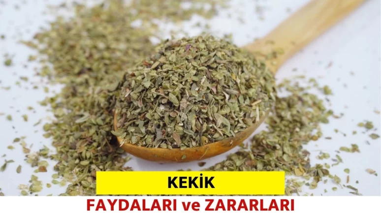 Kekik Nedir, Faydaları Nelerdir, Nasıl Tüketilir?