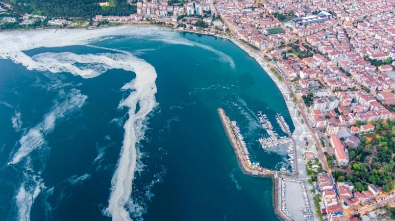 Uzmanlar uyardı! Müsilaj, 7 hafta içinde bütün Marmara Denizi'ne yayıldı