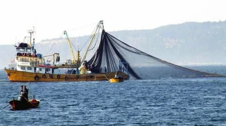 Tekirdağlı balıkçılar rüzgarın durmasıyla Marmara'ya açıldı