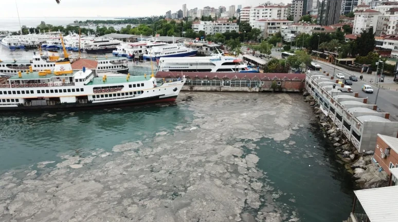 Kadıköy sahilleri’nde endişe verici müsilaj görüntüsü: Marmara Denizi alarm veriyor