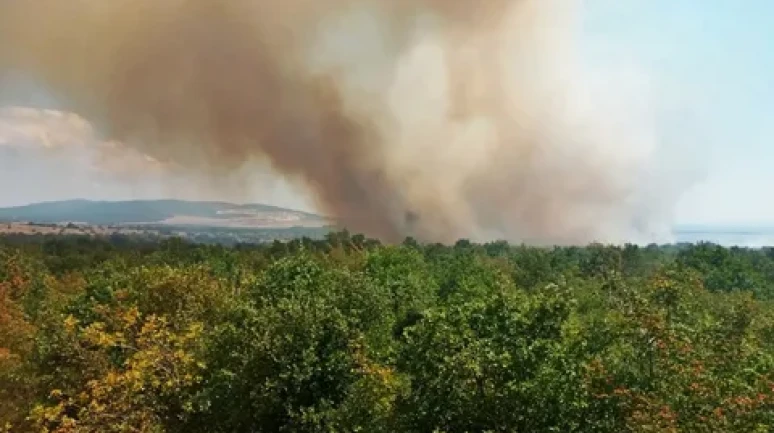 Gelibolu'da orman yangını: Ekipler alevlere müdahale ediyor